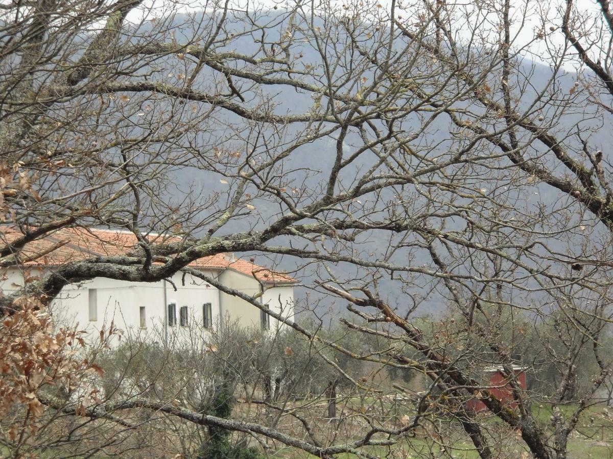 La Masseria Di Antonio E Teresina Colli a Volturno Extérieur photo