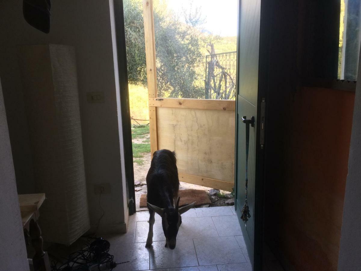 La Masseria Di Antonio E Teresina Colli a Volturno Extérieur photo