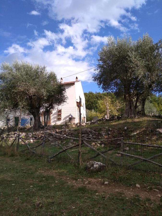 La Masseria Di Antonio E Teresina Colli a Volturno Extérieur photo